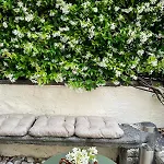 Appartement Residenza Renata Onno